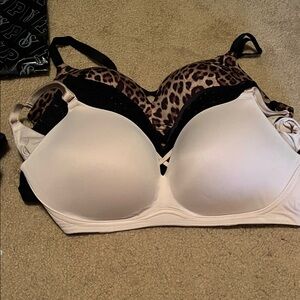 Elegant White and Leopard Print Bra by Torrid